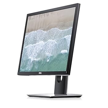 Amazon.com: Dell P2217 22