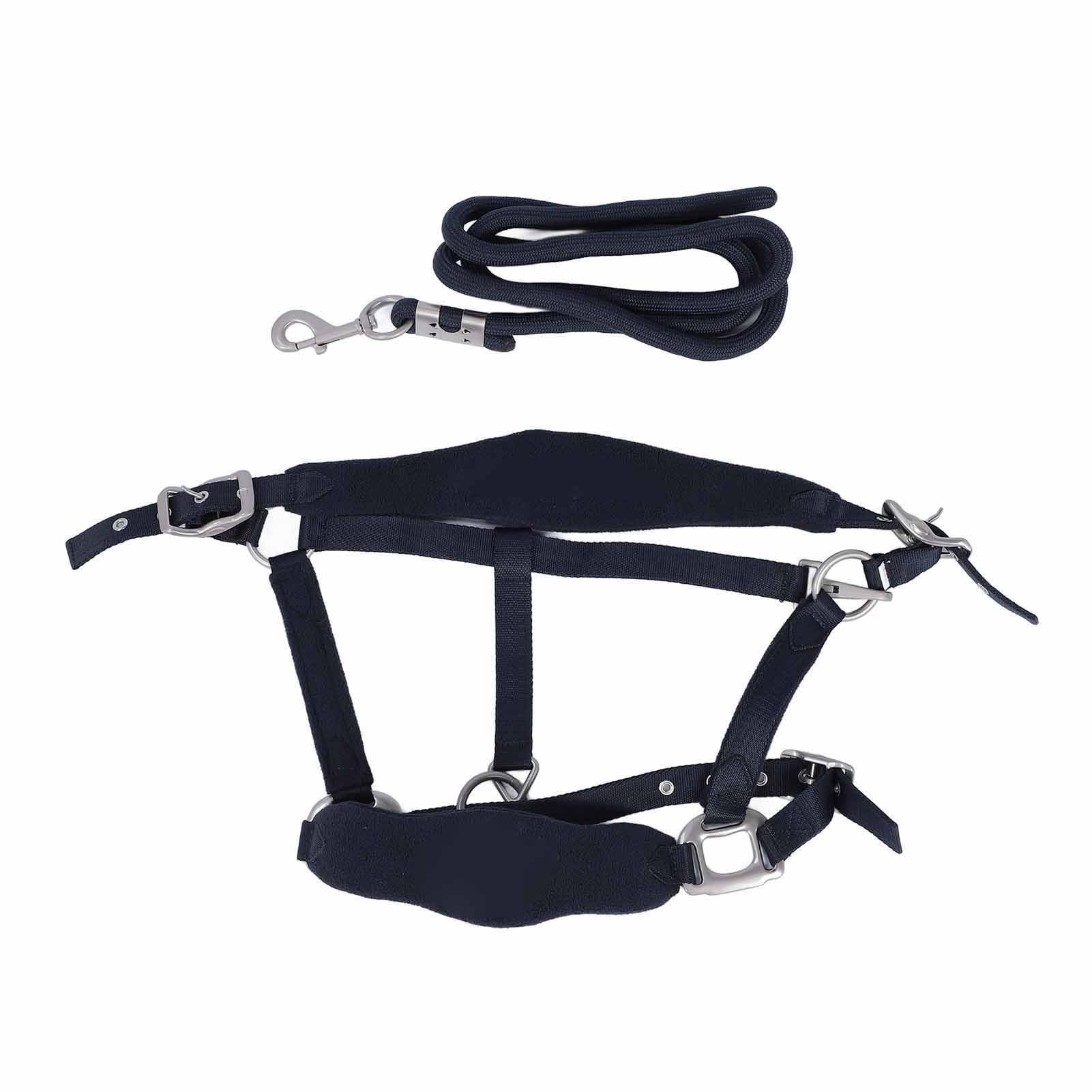 EMUKOEP Cómodo Juego de Correa Halter de Poliéster para Caballos con Acolchado Suave para Entrenamiento de Caballos (#1)
