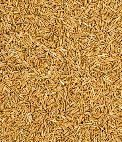 Dehner Bio Saatgut Rasen-Nachsaat, hochwertige Saatgutmischung, raschwüchsig / schnellkeimend, 500 g, für ca. 25 m², natur