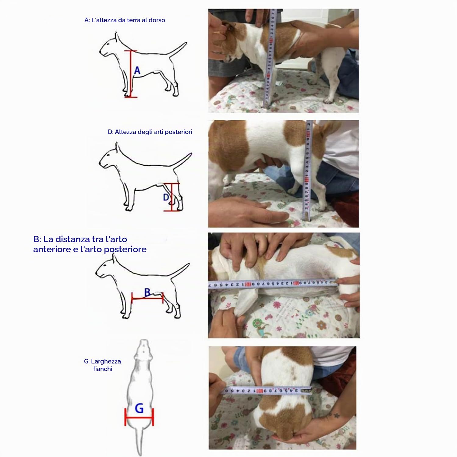Yinian 2 Ruote Regolabile Cane Gatto Animale Domestico Anziano Carrello di Alimentazione Arti Posteriori Scooter Animale Disabile Reinserimento Carrelli per Cani Grandi(Size:XXL（25-45kg）)