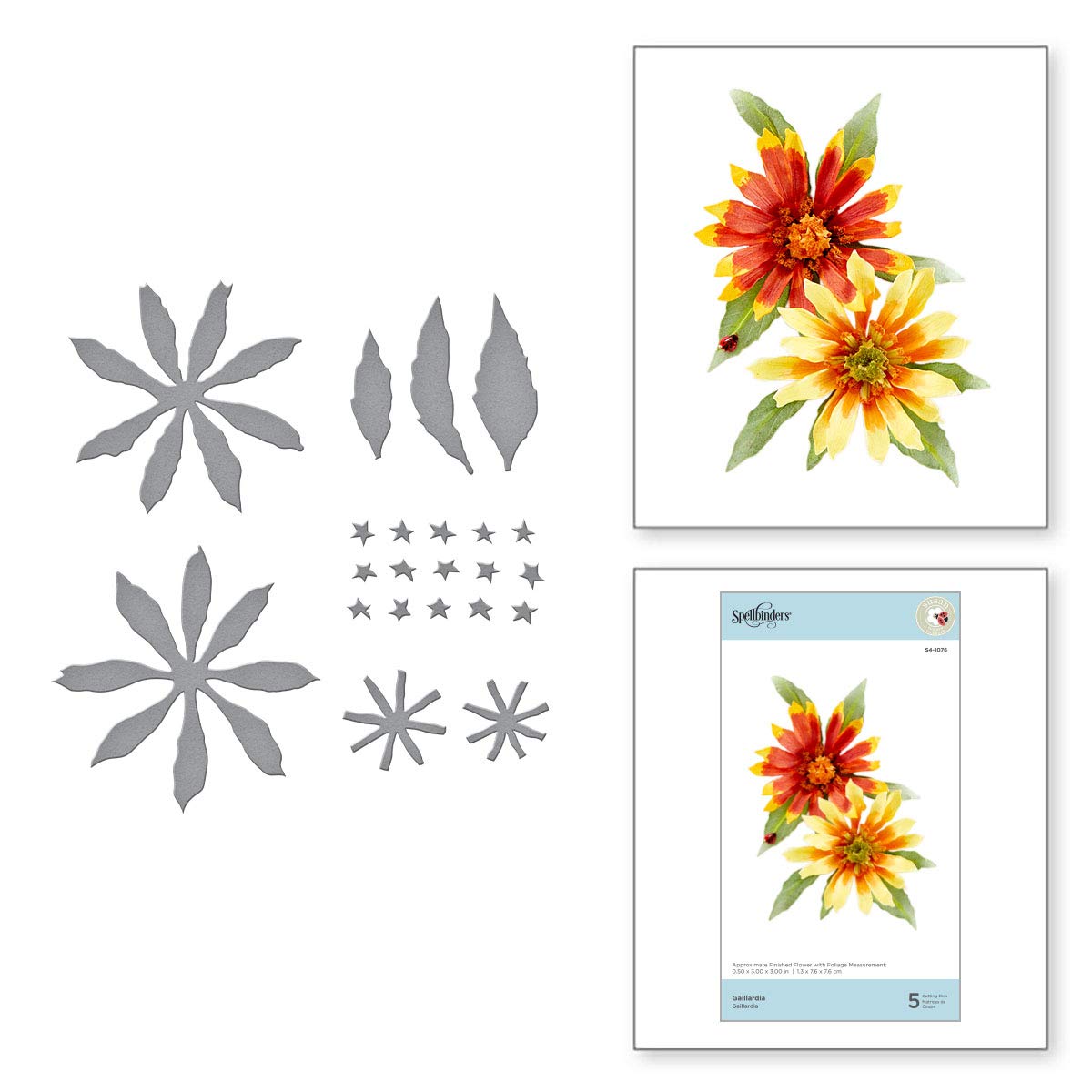 Spellbinders Metal Etched Dies Tierney-Cockburn-Gaillardia-Susan's Autumn Flora, 1