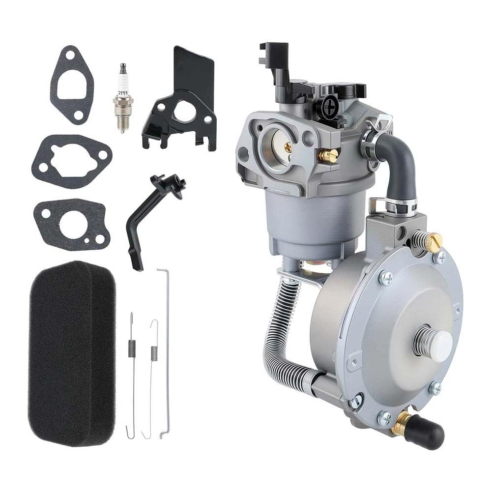 FABULETTA Doppio carburatore per kit di conversione GPL per Honda GX160 e GX200