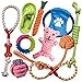 TINGERIA® Jouet Chien pour Les Chiens de Petite Taille, Set de 10 Jouets pour Chiens Indestructible, idéal pour Jouex Chien, Jouet Chiot Solide et interactif