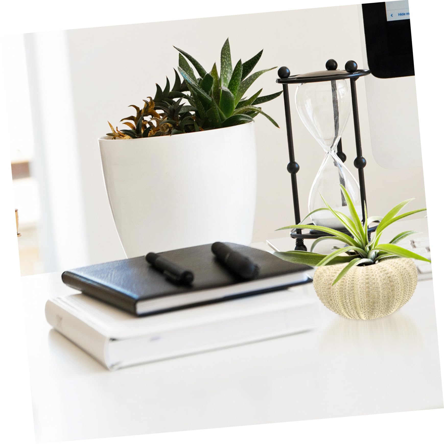 VANZACK 24pièces Décorations Ornements pour Bureau Et Aquarium Support Naturel pour Plantes Aériennes pour Artisanat