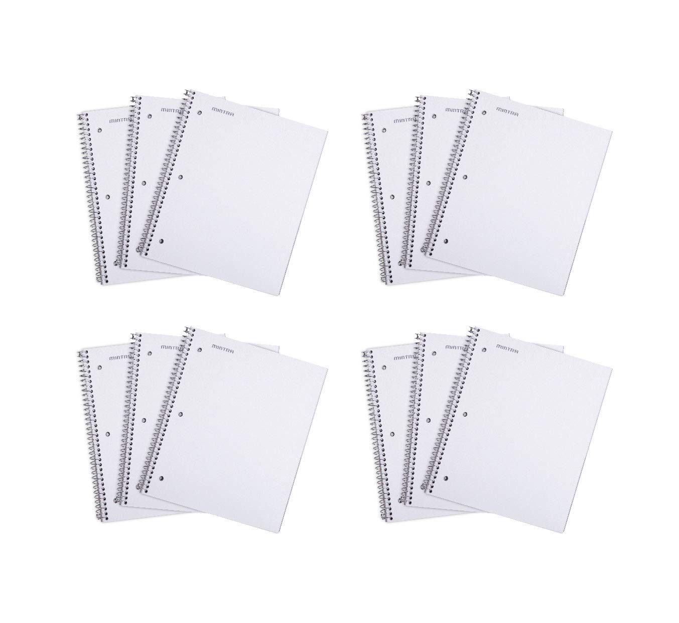 Mintra Office Durable Spiral Notebooks, 1 Subject, (White, College Ruled 12pk), 100 Sheets, Poly Pocket, Moisture Resistant Cover, School, Office,