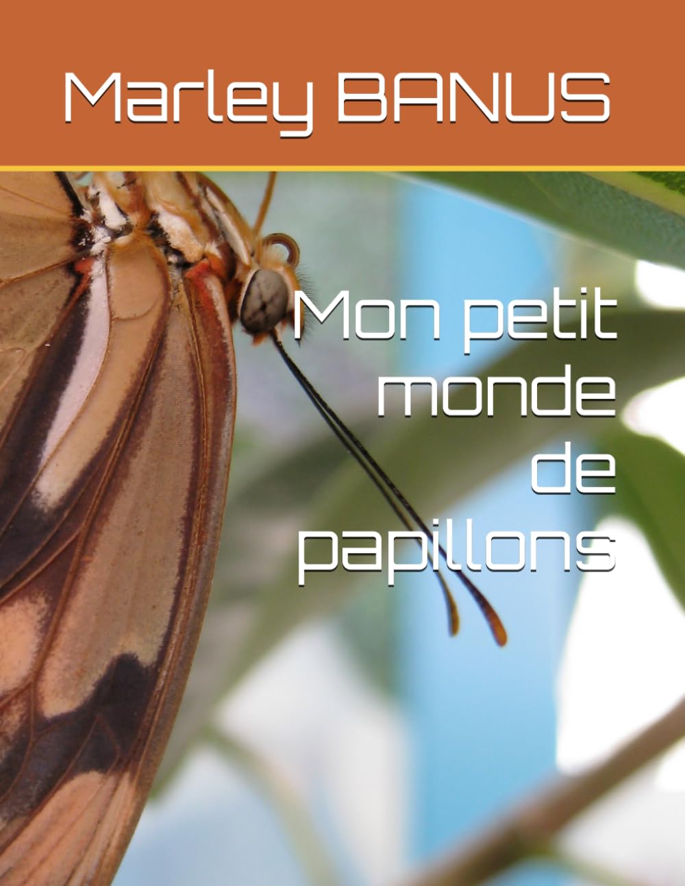 Mon petit monde de papillons