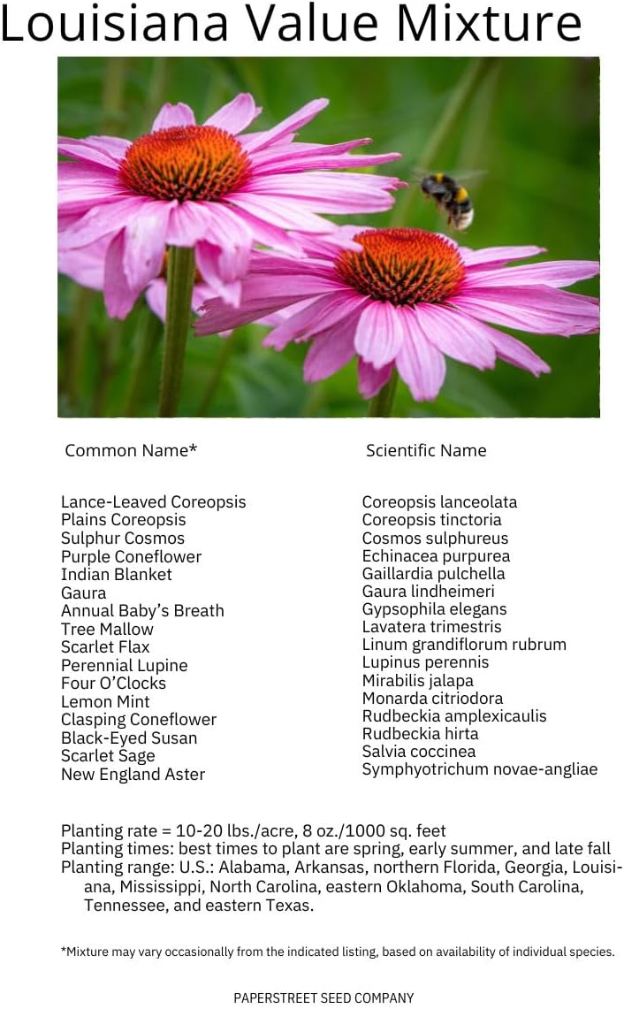 Louisiana Bulk Perennial Wildflower Seed Mix 1lb Covers 2,000sq-ft - Attract Pollinators, Multi-Color Blooms - Southeast US Species Plant in Spring/Fall, Earth-Friendly Packaging (1/4 Pound)