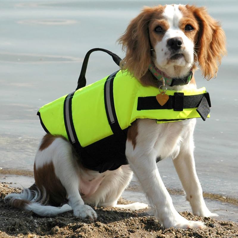 hundeliebling AquaTail Gilet de sauvetage pour chien - Réglable pour chiens de taille moyenne - Poignée de sauvetage et réflecteurs - Haute flottabilité - Idéal pour la natation et le bateau