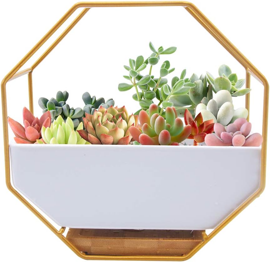 O'woda Macetas Colgantes de Cerámica, Metal Macetas Pared, con Orificio de Drenaje y Plato de Bambú, Decoración para Casa, Jardin, Sala de Estar y Boda (17.7 * 17.7cm, Dorado)