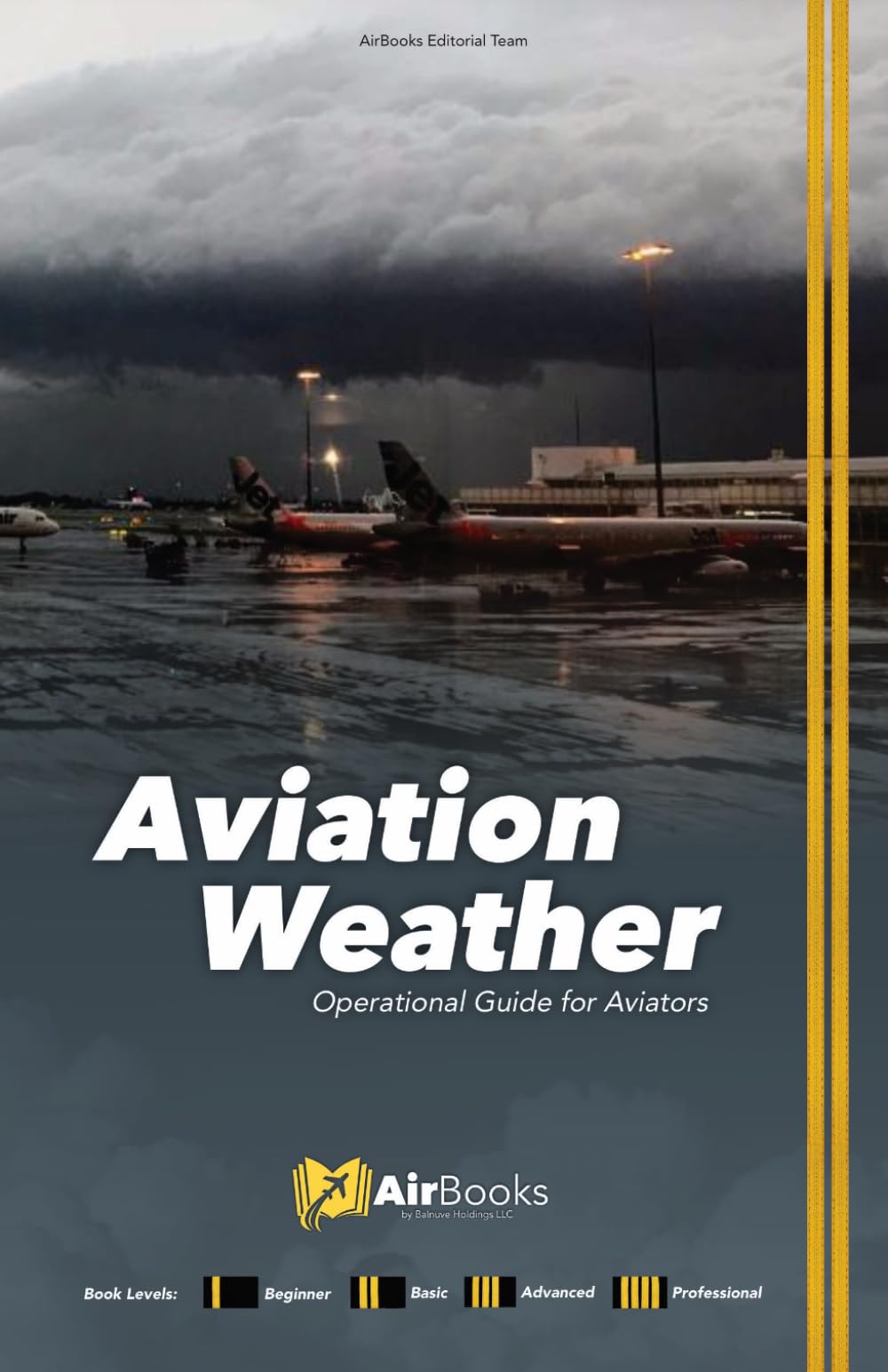 Aviation Weather: Operational Guide for Aviators. Premium Full-Color Edition