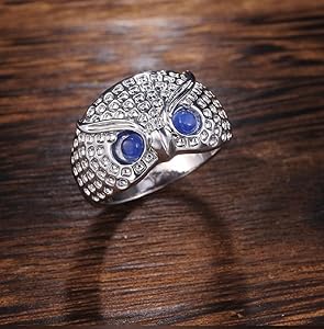 Amazon.com: ZDIFDIC 925 Silver Owl Ring Demon Eye Vintage