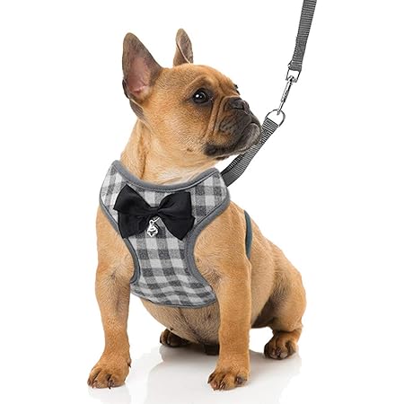 superhero dog harness