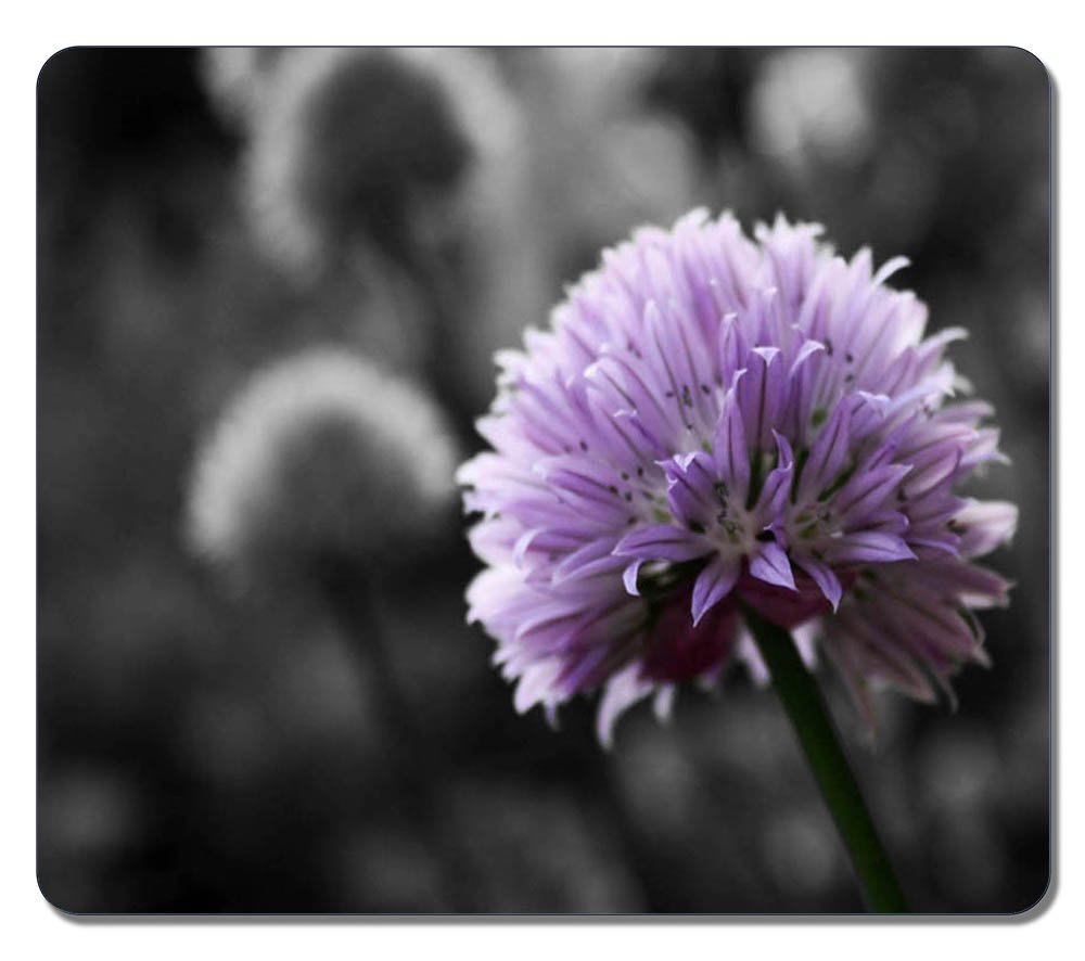 Extra Large Mouse Mat 12 87x11 02x0 15 IN - Gaming Mouse Pad - Personalized Purple Flower On