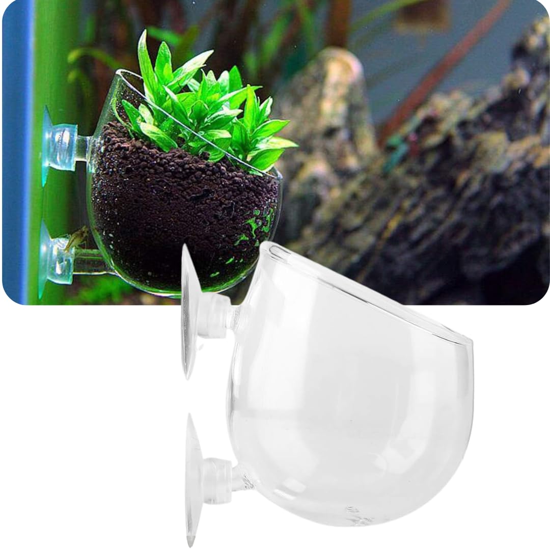 VAYINATO® Aquarium Plant Holder Cup Polka Pot, Fish Tank with Plant Holding Suction Cup, 1 Pcs - Crystal Glass Aquatic Planter Pot Deorative Item Decoration by Petzlifeworld (B0C2N14T55) Amazon Price History, Amazon Price Tracker