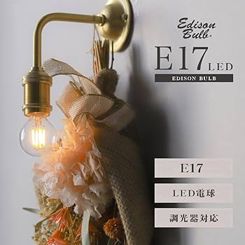 Amazon.co.jp: 【2個セット】E17 調光器対応 エジソンバルブ LED