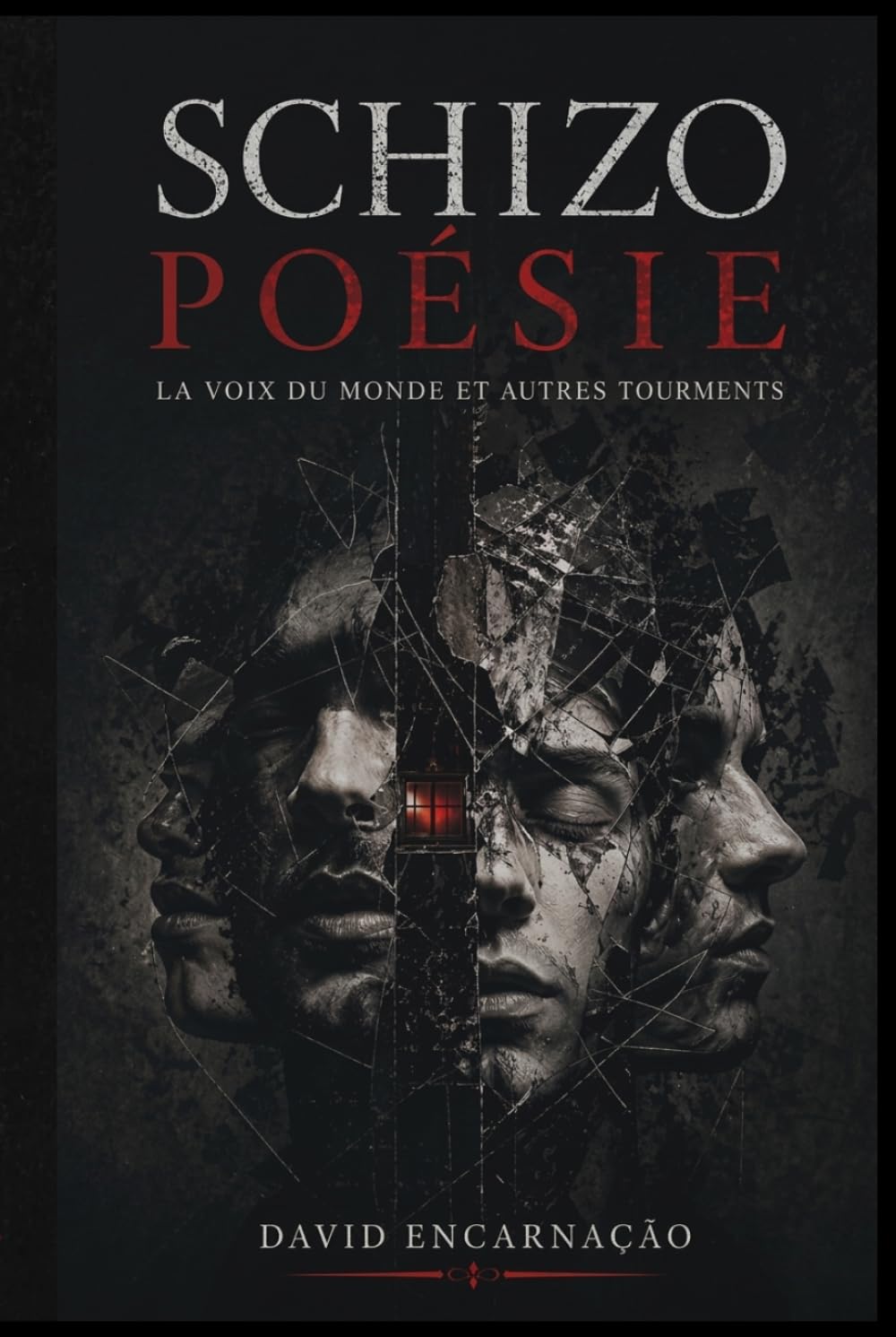 Schizo poésie: La voix du monde et autres tourments
