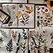 10 Blätter/Packung Vintage PET Aufkleber Blumen Pflanze Aufkleber DIY Scrapbooking Aufkleber Tagebuch Album Briefpapier Planer Dekoration