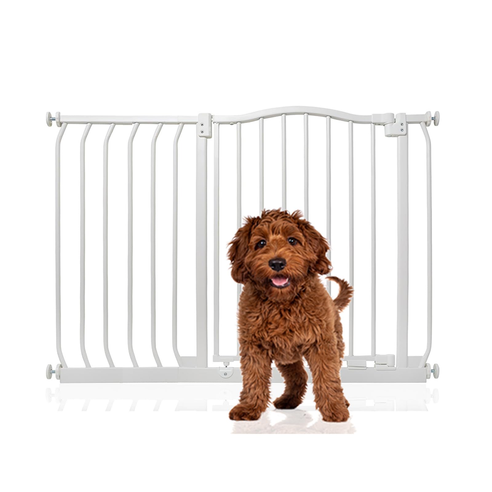 Bettacare Curved Top Dog Gate, 161cm - 170cm, Matt Black, Pressure Fit Pet Gate for Puppy and Dog, Easy Installation — view 74