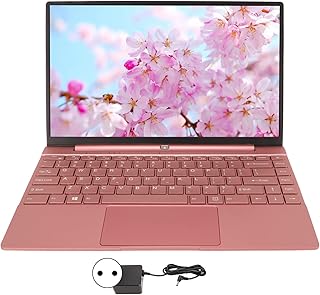 Laptop de 14 polegadas para Wins 11, laptop de negócios com display IPS de 2K para Intel Celeron N5095, LPDDR4 8 GB, bateria de 6000 mAh, laptop Sakura ultrafino para estudantes, presentes de(8+1TB)
