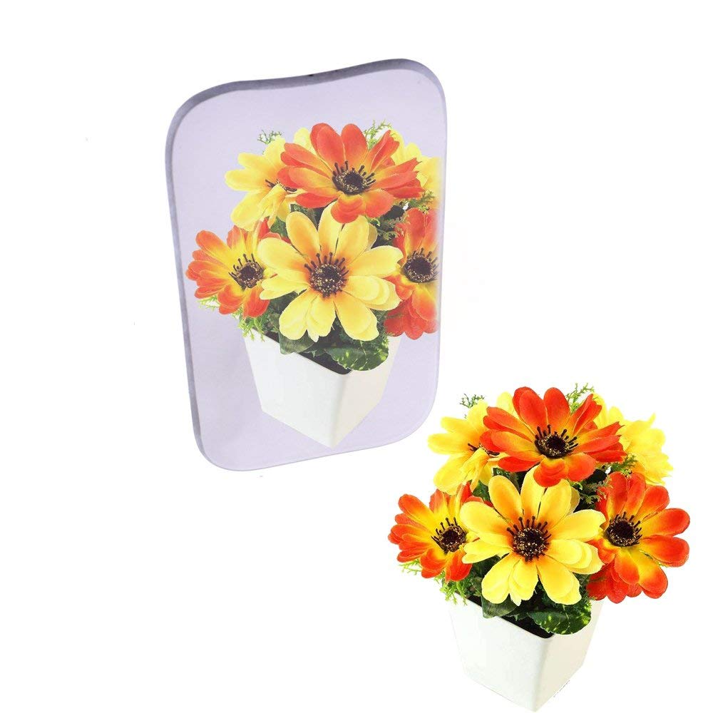 WECANDO Lot de 5 miroirs dentaires double face en verre plaqué titane