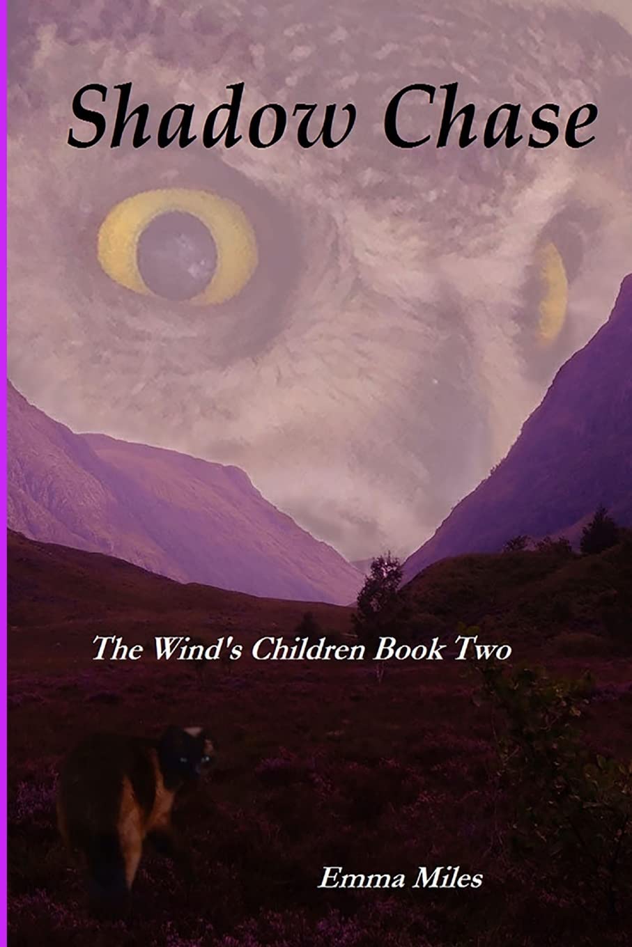 Shadow Chase: Book two of The Wind's Children