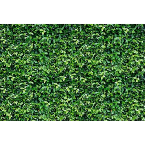 Fondo Fotográfico Tela Verde 7x5 ft miniatura 6