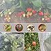 Garden Mesh Netting 10'x33' Plants Covers Ultra Fine Bug Cover Keep Trees Vegetables Fruits from Cicada Mosquito Netting for Patio Crops Flowers Protection Cicada Insect Net (White)