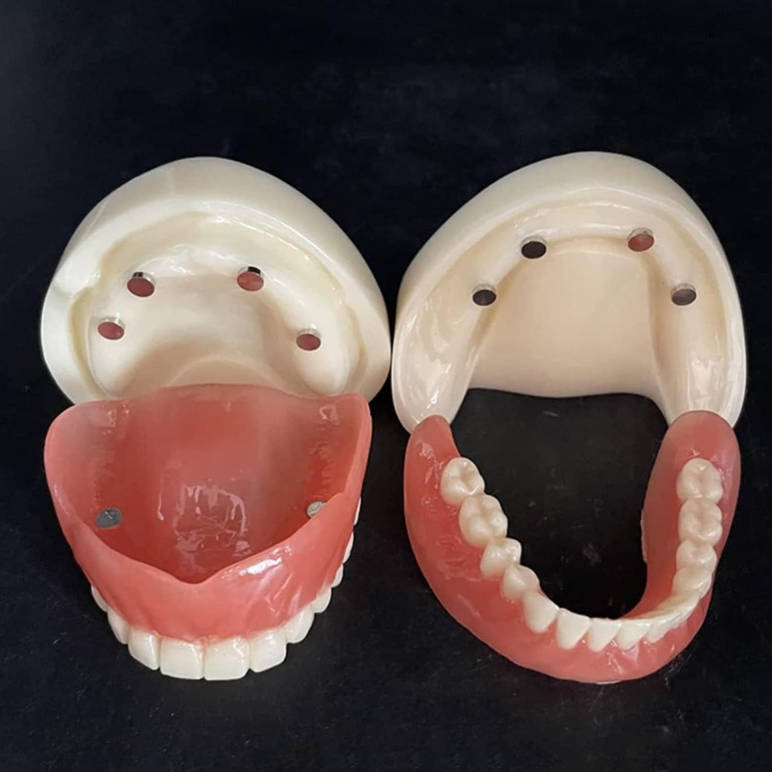 Zahnmodell, Zahnimplantatmodell, Standard-Zahnmodelle, Kunststoff-Mundmodell für zahnärztliche Bildung, Zahnpathologie-Display