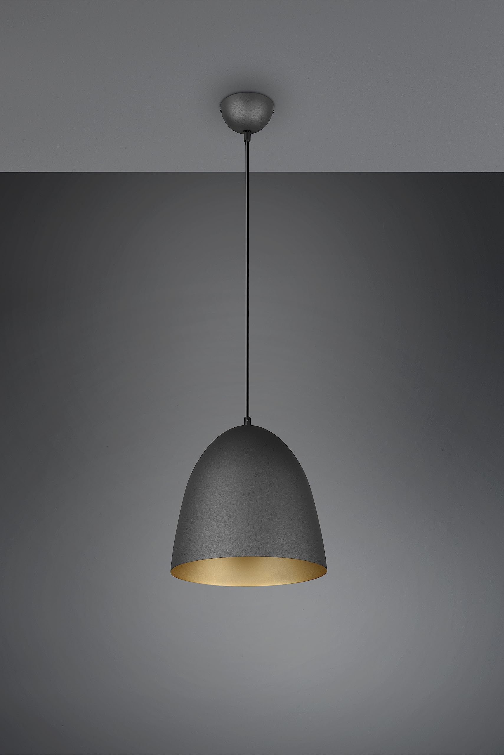 Reality Leuchten Pendelleuchte Tilda R30661080, Schirm Metall Schwarz matt/goldfarbig, exkl. 1x E27