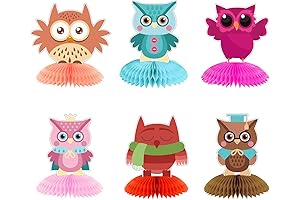 3D Owl Party Decorations, Owl Birthday Party Favors Kit, 5-Count Owl Honeycomb...