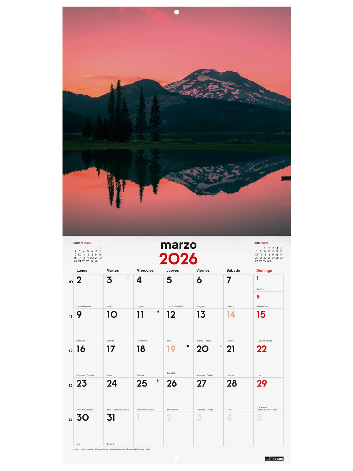 Finocam - Bureaukalender om op te noteren 2026, 1 maand per pagina, januari - december 2026 (12 maanden) | Kalender 2026 | Neutrale maandplanner - Nederlands
