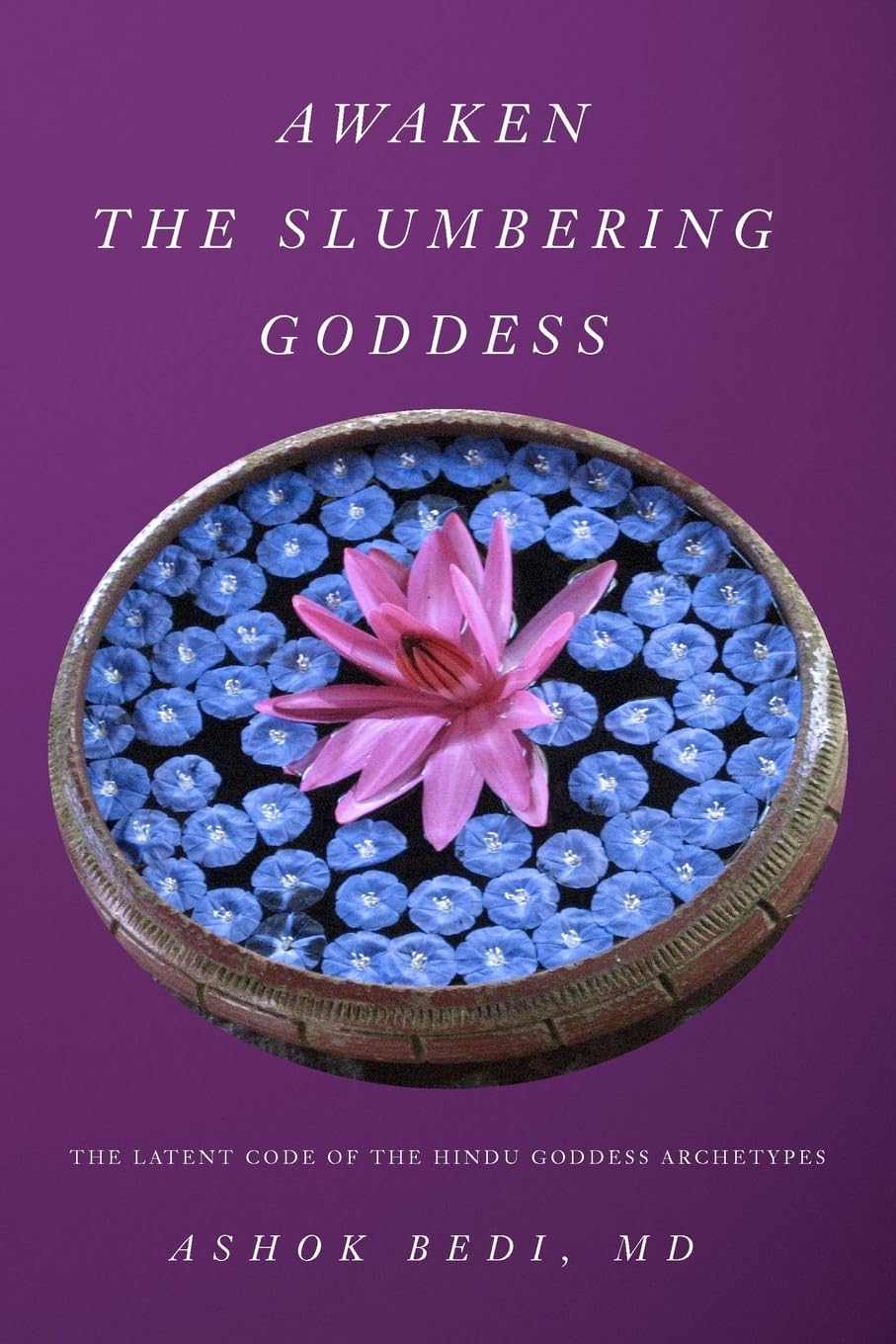 Buy Awaken The Slumbering Goddess: The Latent Code of the Hindu Goddess Archetypes โ BookShops.in