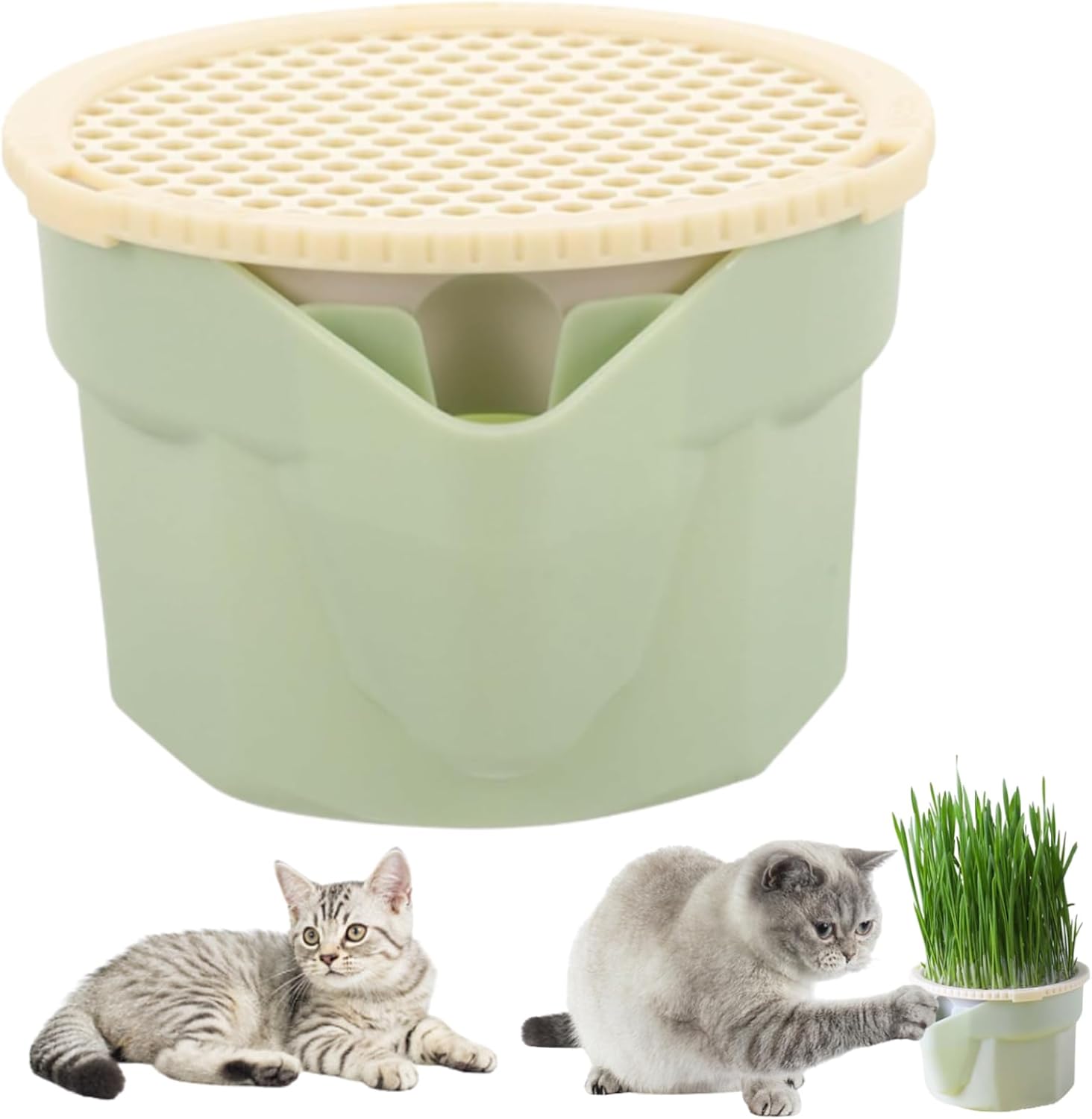 Cat Grass Planter 3.5 Inch Plastic Hydroponic Cat Grass