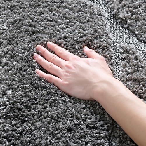 SAFAVIEH Florida Shag Collection Accent Rug - 4' x 6',