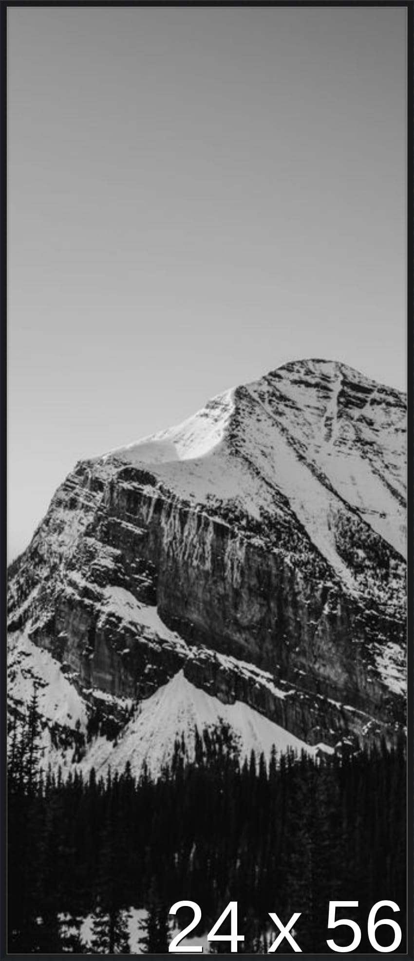 Frame It Easy 24 x 56 Satin Black Metal Frame (Ashford)