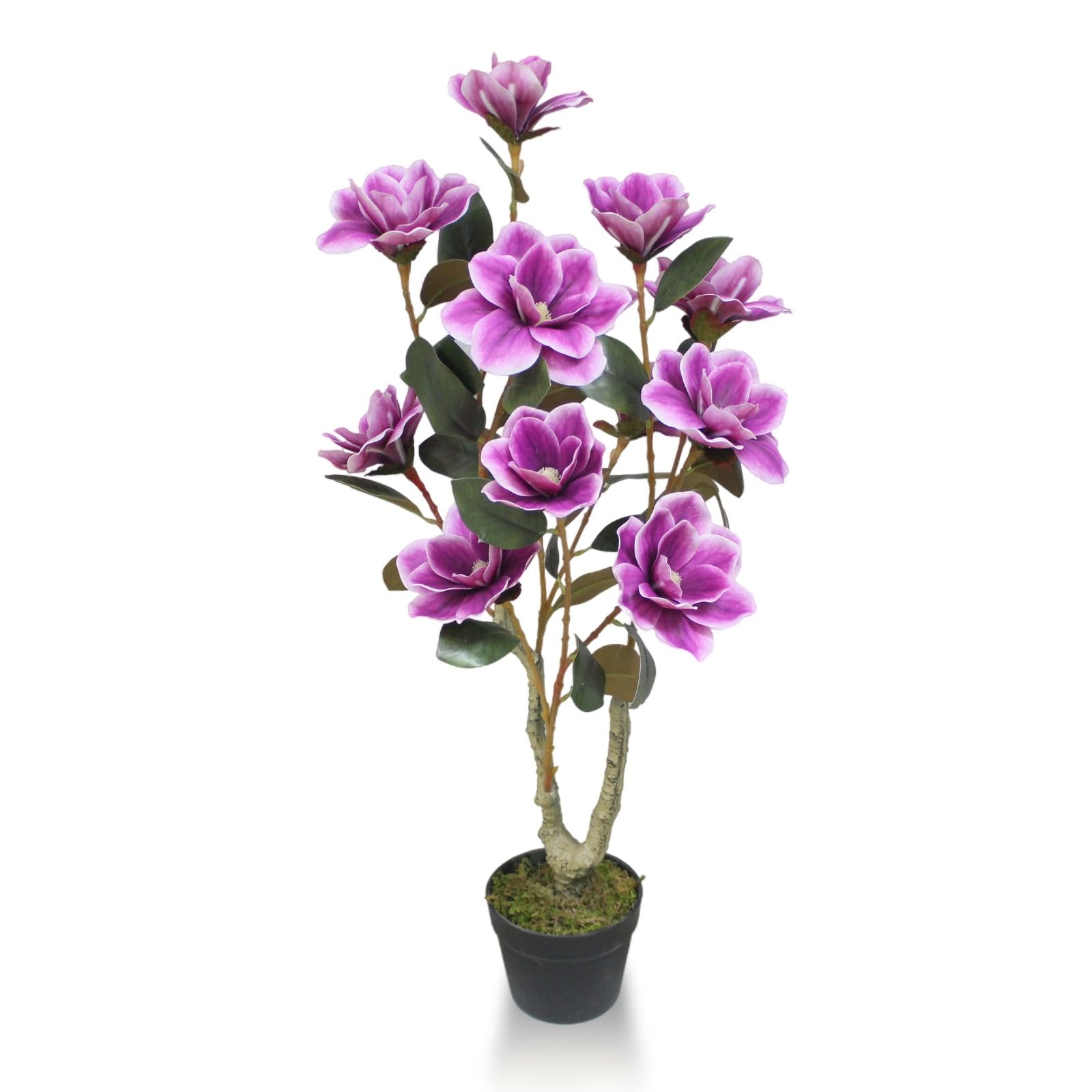 ENUTROF Artificial Plants with Basic Pot for Gifiting, Home Decor, Office Decor & Commercial Site || Mangolia Artificial Plant for Indoor || Height:95Cm/3Ft (B0CG1K9FG1) Amazon Price History, Amazon Price Tracker