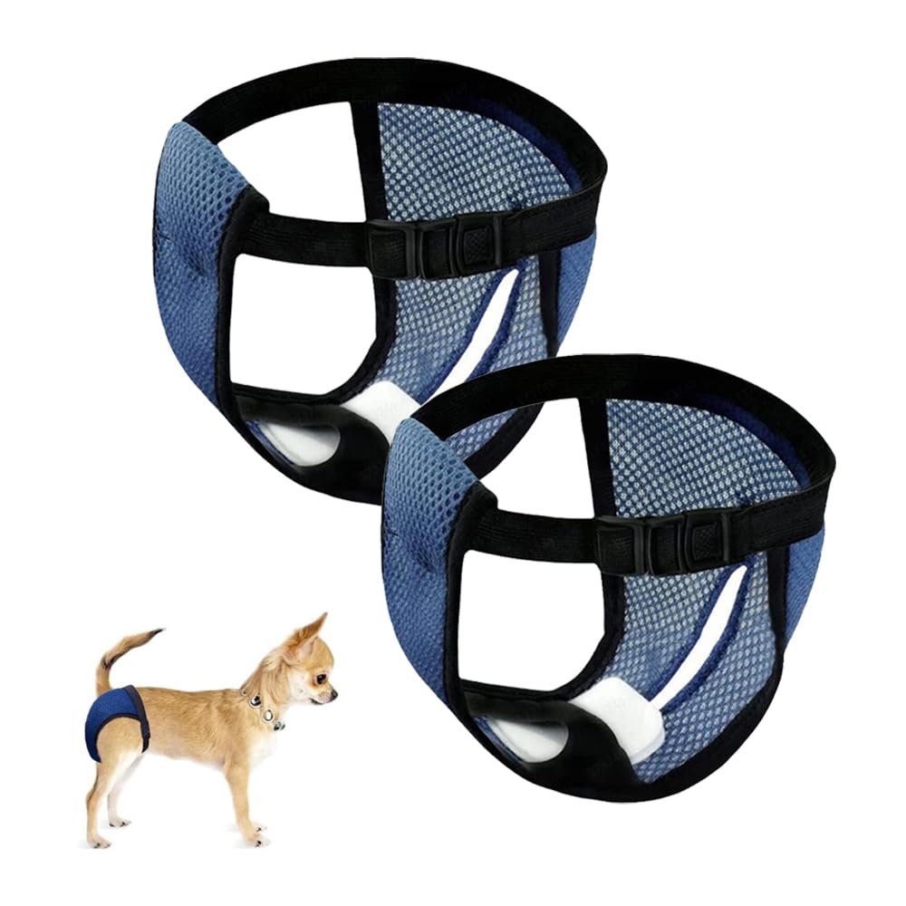 Ceihwa 2 Braguitas Perro Celo Hembra L Lavables Pantalones Pañales para Perros con 6 Toallas Sanitarias Reutilizable Bragas Menstruales Perro Hembra Bragas Higiénicas Perros en Celo Sangrado Mensual