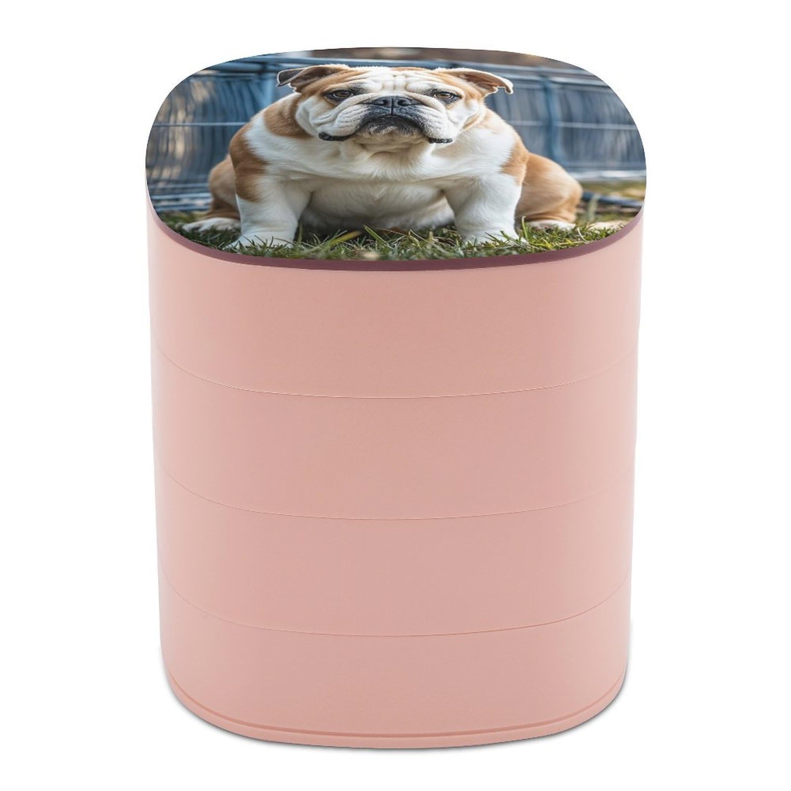 LZQPOEAS English Bulldogs Jewelry Box with Mirror 4-Layer Rotating Travel Jewelry Case Small Jewelry Organizer Portable Jewelry Storage Box Rings Stud Necklaces Earring Holder for Women
