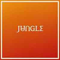 直感　英語版 81VTWslQqOL.jpg