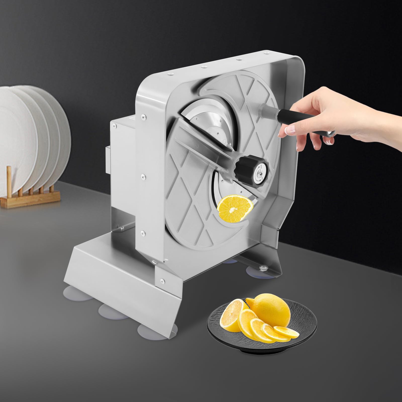 Affettatrice manuale per verdure e frutta, 1-10 mm di spessore (4R) | Affettatrice regolabile in acciaio inox per patate, arance, mele, cetrioli, limoni
