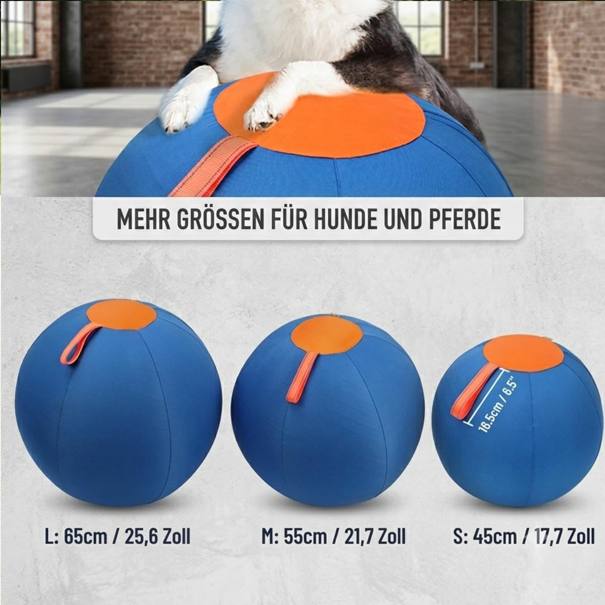 Lentiva Norden Treibball, Treibball für Hunde, ufblasbarer Herding Ball für mittlere & große Rassen, Kau- und kratzfester Hüteball mit Handschlaufe, Riesen Hundeball für Outdoor Training (B,55 CM)