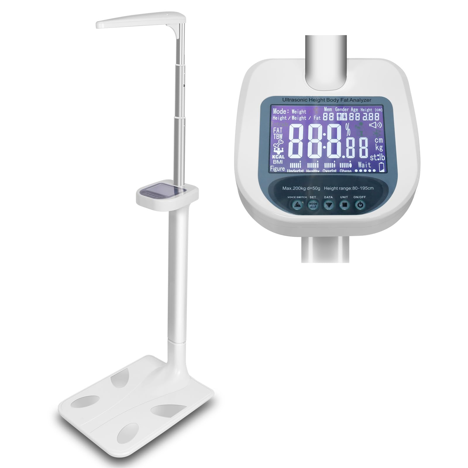 Ultrasonic Digital Physician Scale 440lb 200kg Height and Weight Scale with BMI Body Fat Measurement Smart LCD Display