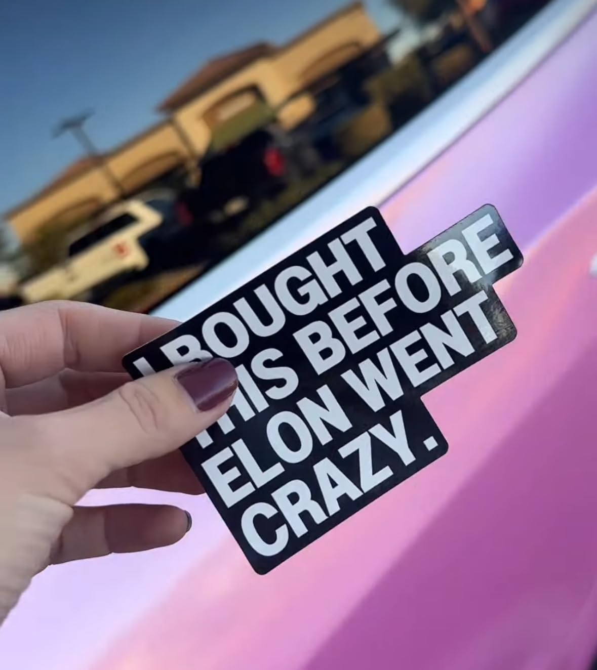 I Bought This Before Elon Went Crazy Non-Adhesive Vinyl Static Cling Decal Bumper Sticker Window Sticker for Tesla Owners, Gift Accessory for Model X Y 3 Musk Regret