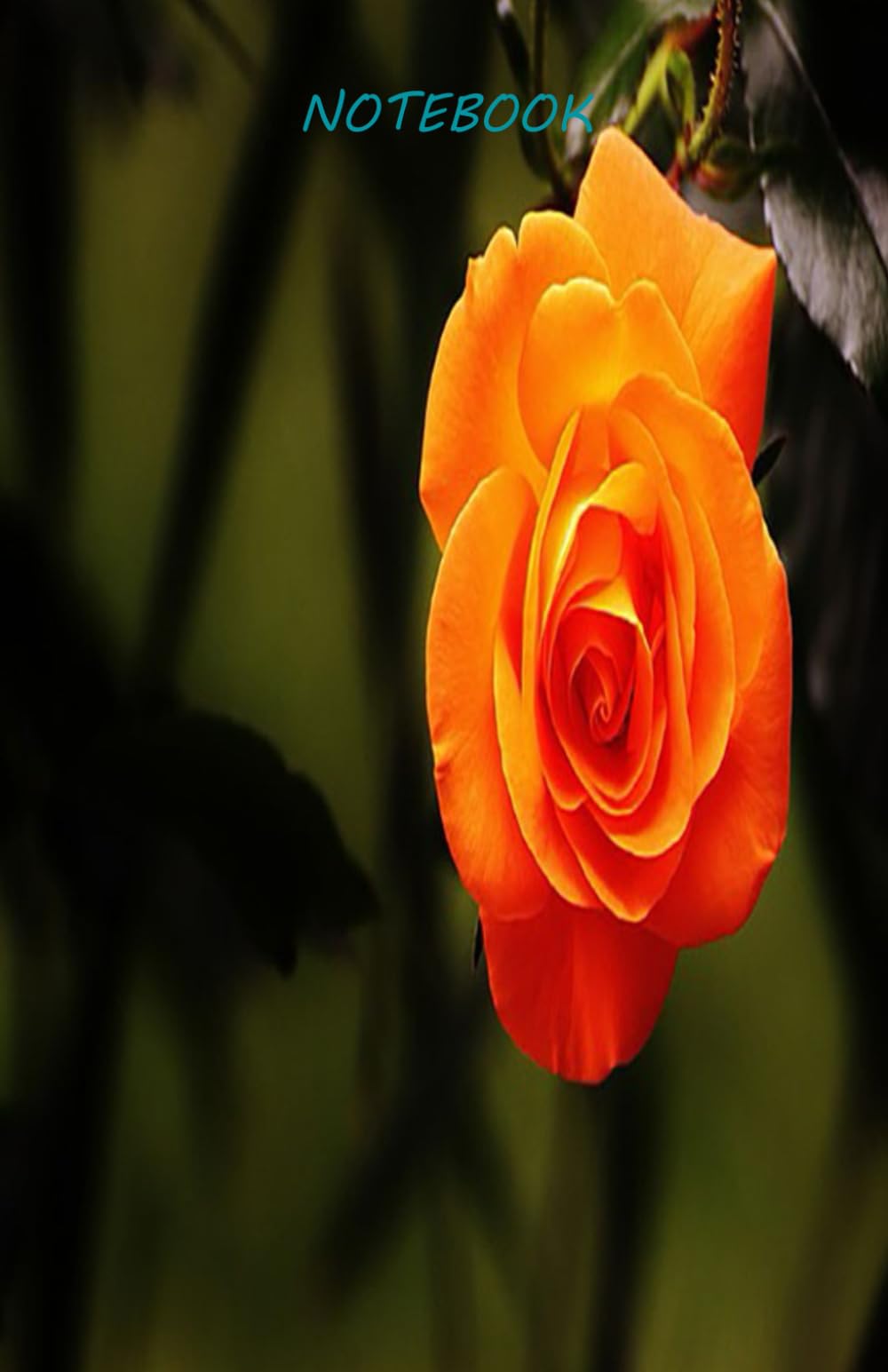 Notebook 100 Pages 5.5x8.5