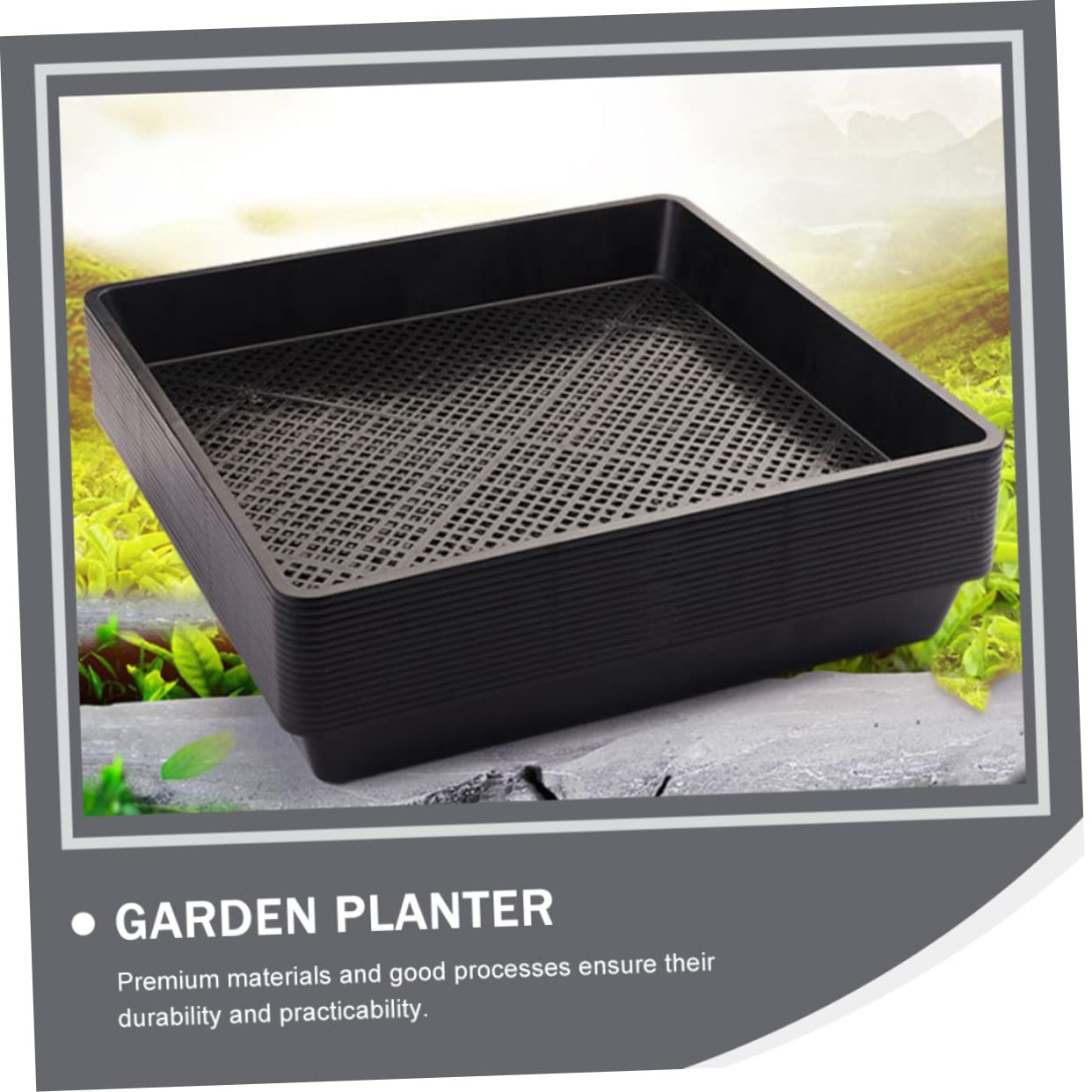 Yardwe Confezione da 5 Vassoi per La Germinazione delle Piante Vassoi per Avviare E Foglie di Insalata Forniture per Il Giardino