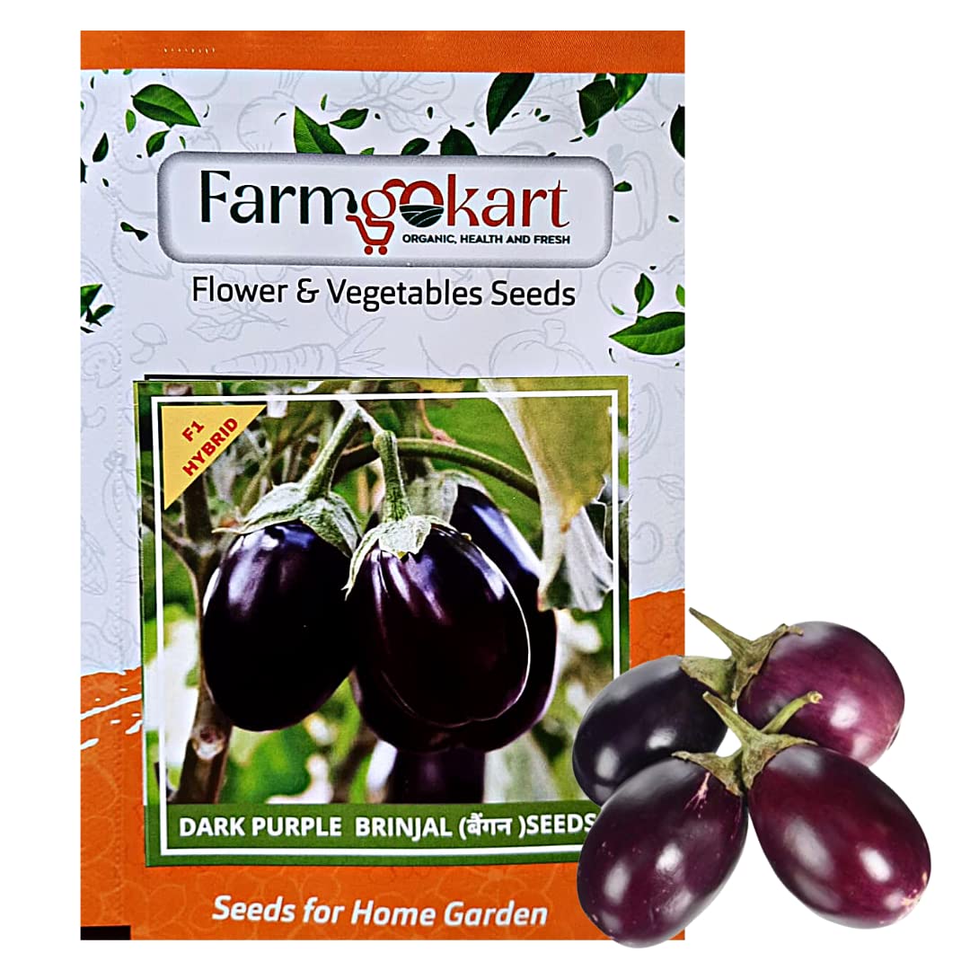 FARMGOKART 5 Gms - BRINJAL (BEGAN,EGG PLANT) F1 -HYBRID SEEDS, Vegetable Seeds for Home Gardening, Farming, Hydroponics and Poly Houses (B0BTYP78Q9) Amazon Price History, Amazon Price Tracker