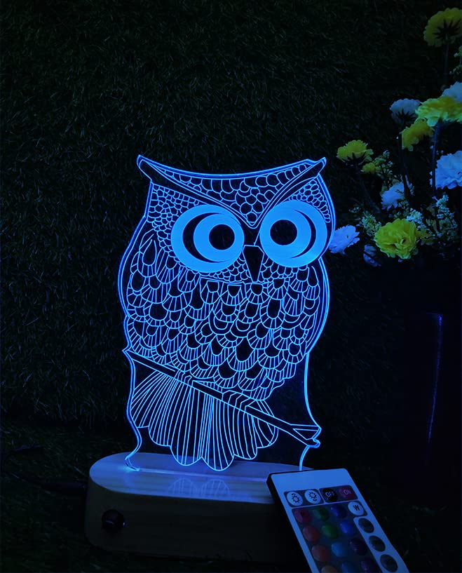 Buy SHAYONA Owl Multicolor with Remote Acrylic 3D Illusion Night Light