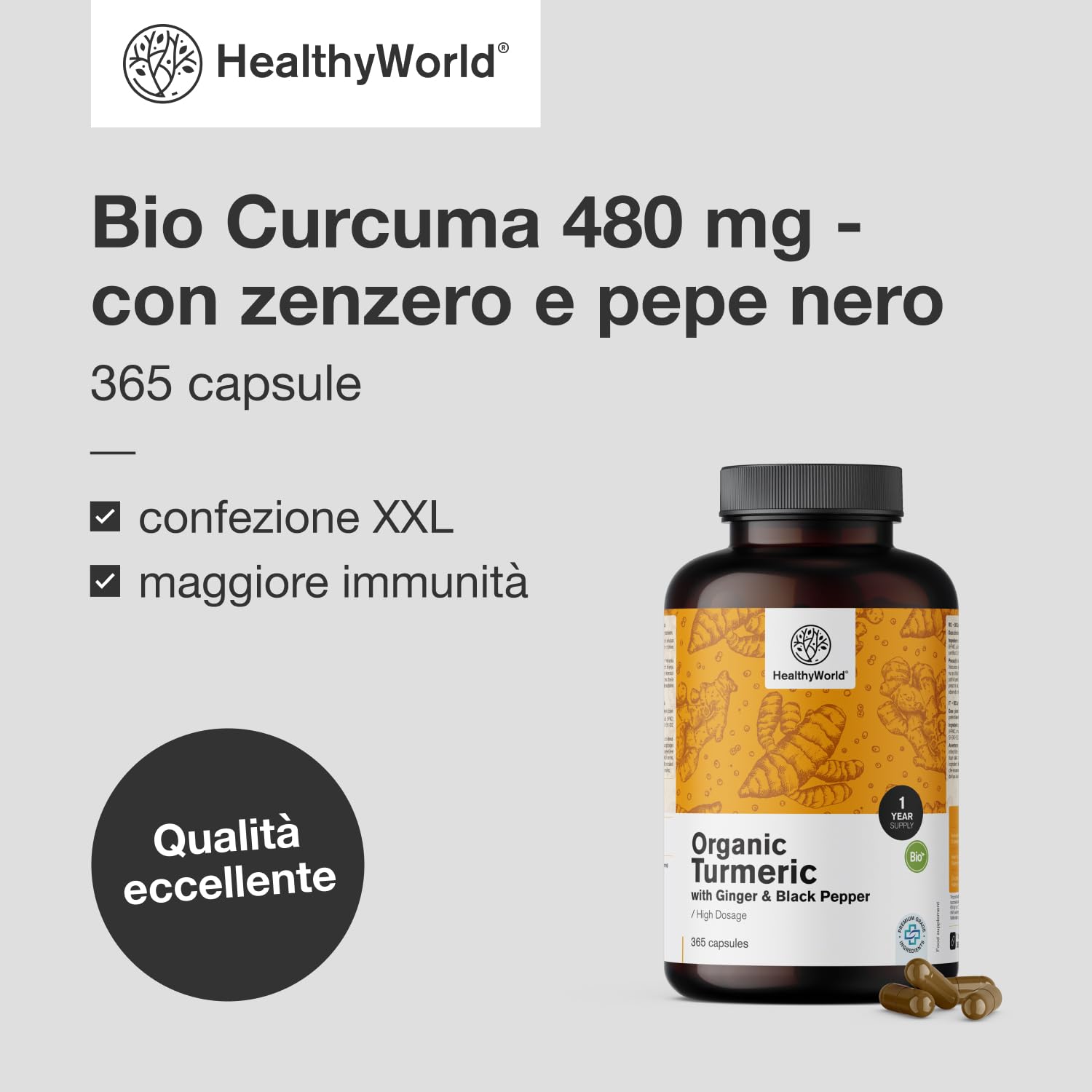 HealthyWorld BIO Curcuma 480 mg con Zenzero e Pepe Nero - 365 Capsule Vegetali - 1-anno di Fornitura - Per il sostegno delle Difese Immunitarie, del Fegato, delle Vie Respiratorie e del Cuore