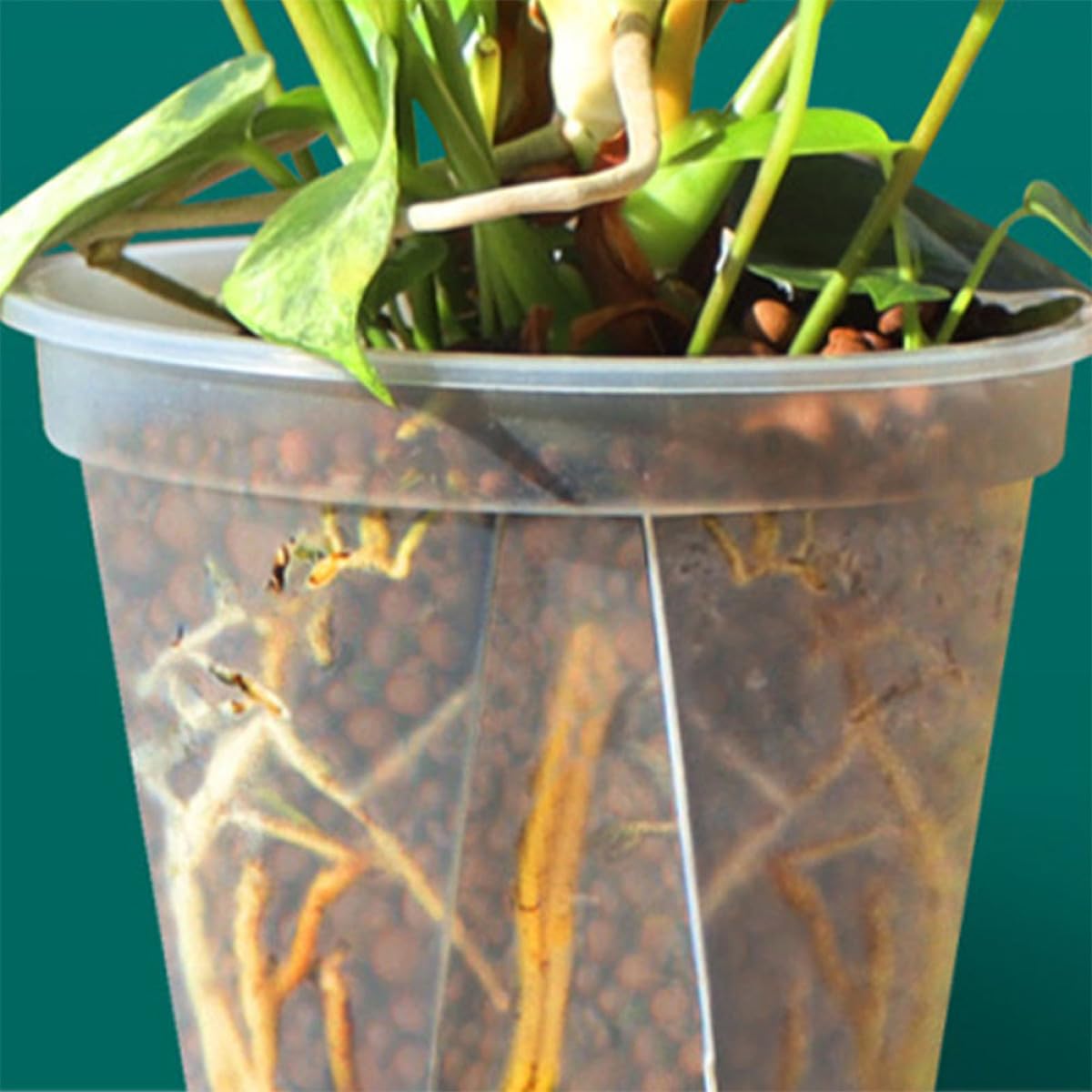 VICASKY 4 Stück Blumentopf Durchsichtig 25cm aus Kunststoff Runde Pflanztöpfe mit Einfachem Design und Stapelbar für Garten und Zimmerpflanzen