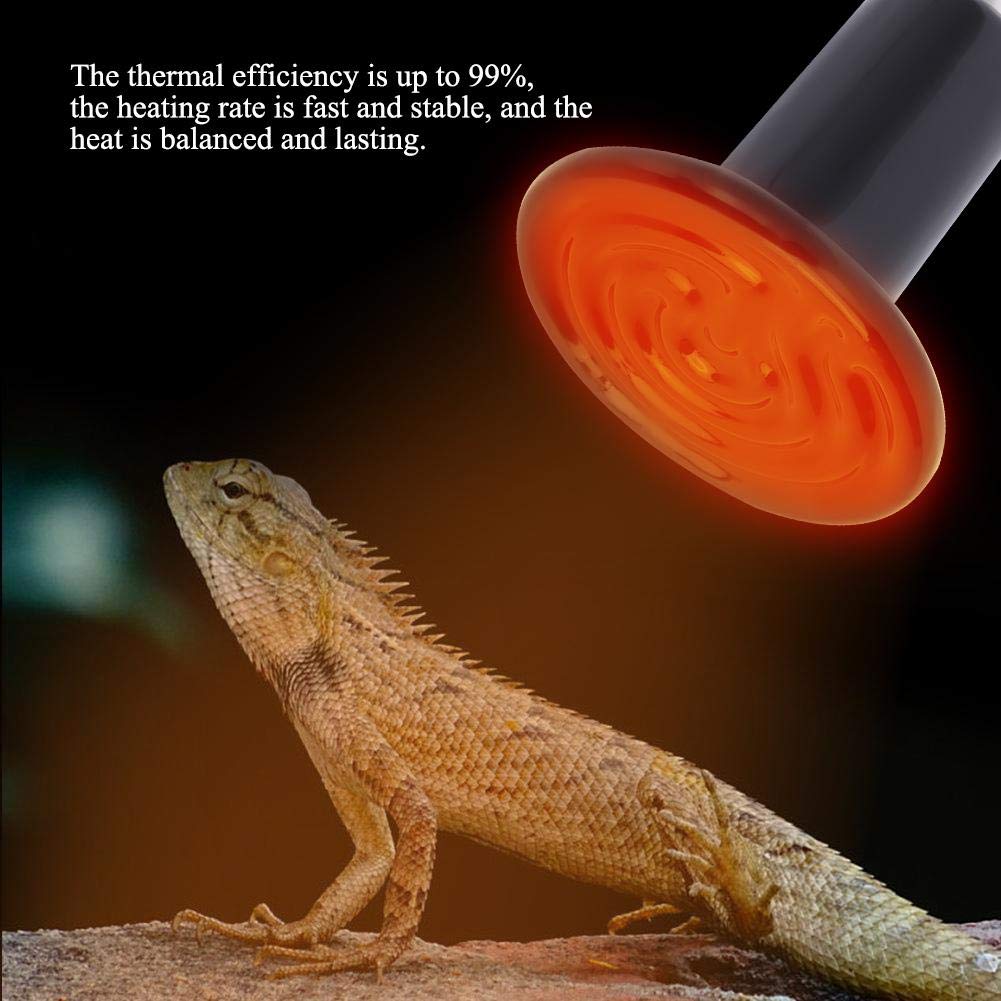 Fdit Ceramic Heating Lamp, E27 Infrared Heat Lamp 100W 220V-240V for Reptile Pet Enclosure No Light Emitting Animal Heat Bulb (1#) - image 5